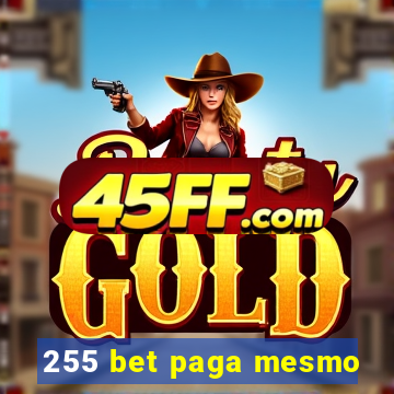 255 bet paga mesmo